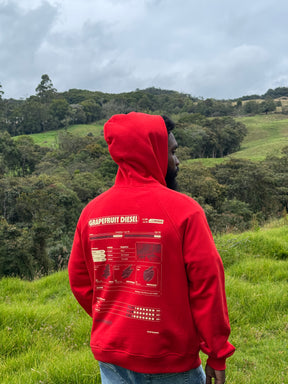 HOODIE GRAPEFRUIT DIESEL ROJO